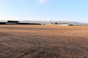 Athea GAA Pitch after being drained, levelled & re-seeded. 