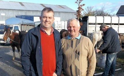 Councillor John Sheahan and Ned Mahony at the Fair of the Village 